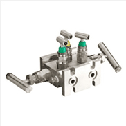 5 Way Manifold Valves, Coplanar