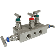 5-Way Manifold Valves