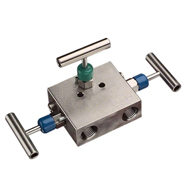 Manifold Valves